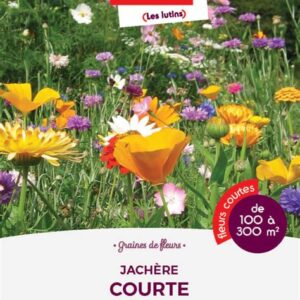 Mélange jachère courte