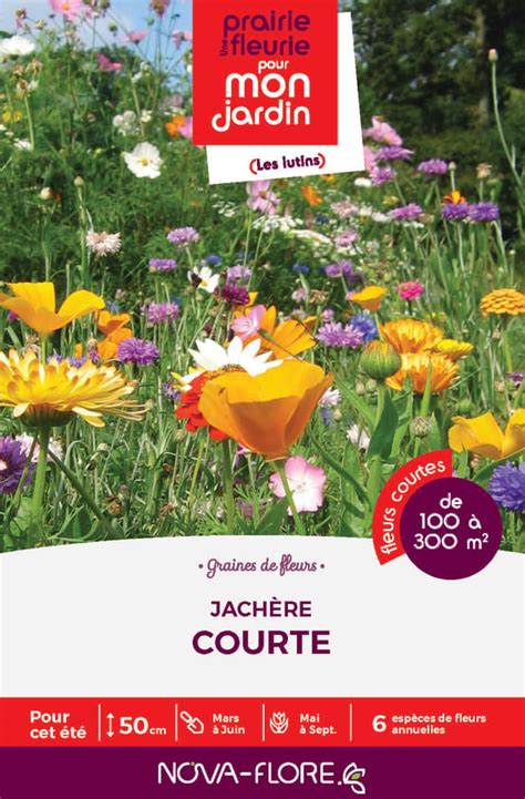 Mélange jachère courte